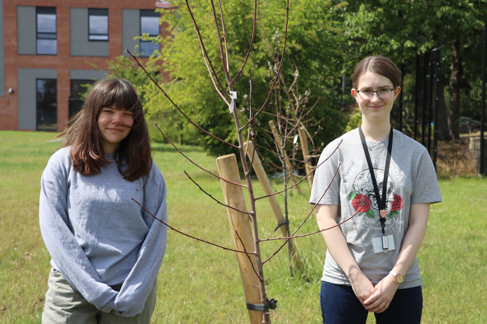 Five trees planted on school grounds