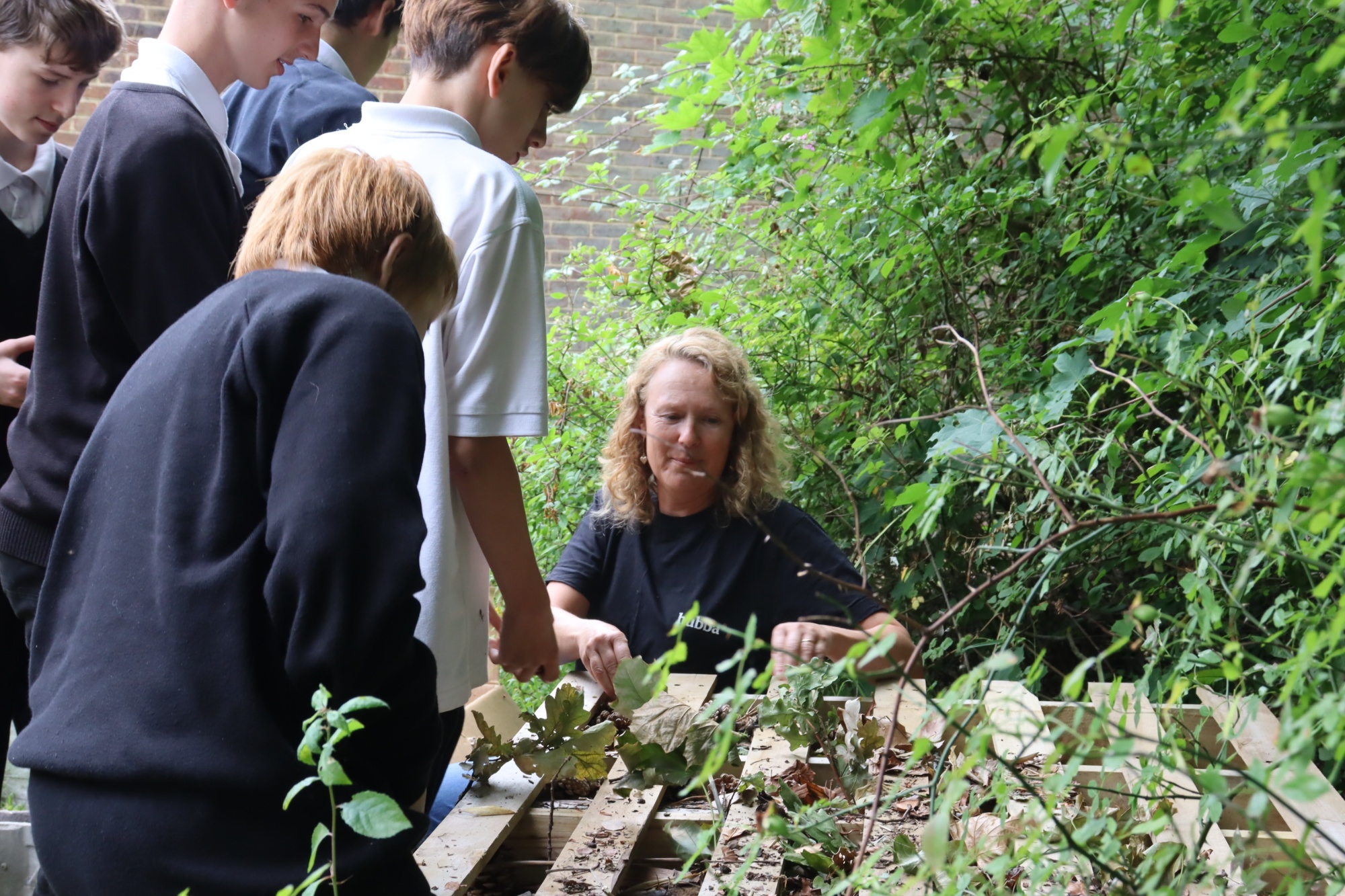 Hubba Waste Management build a bug hotel