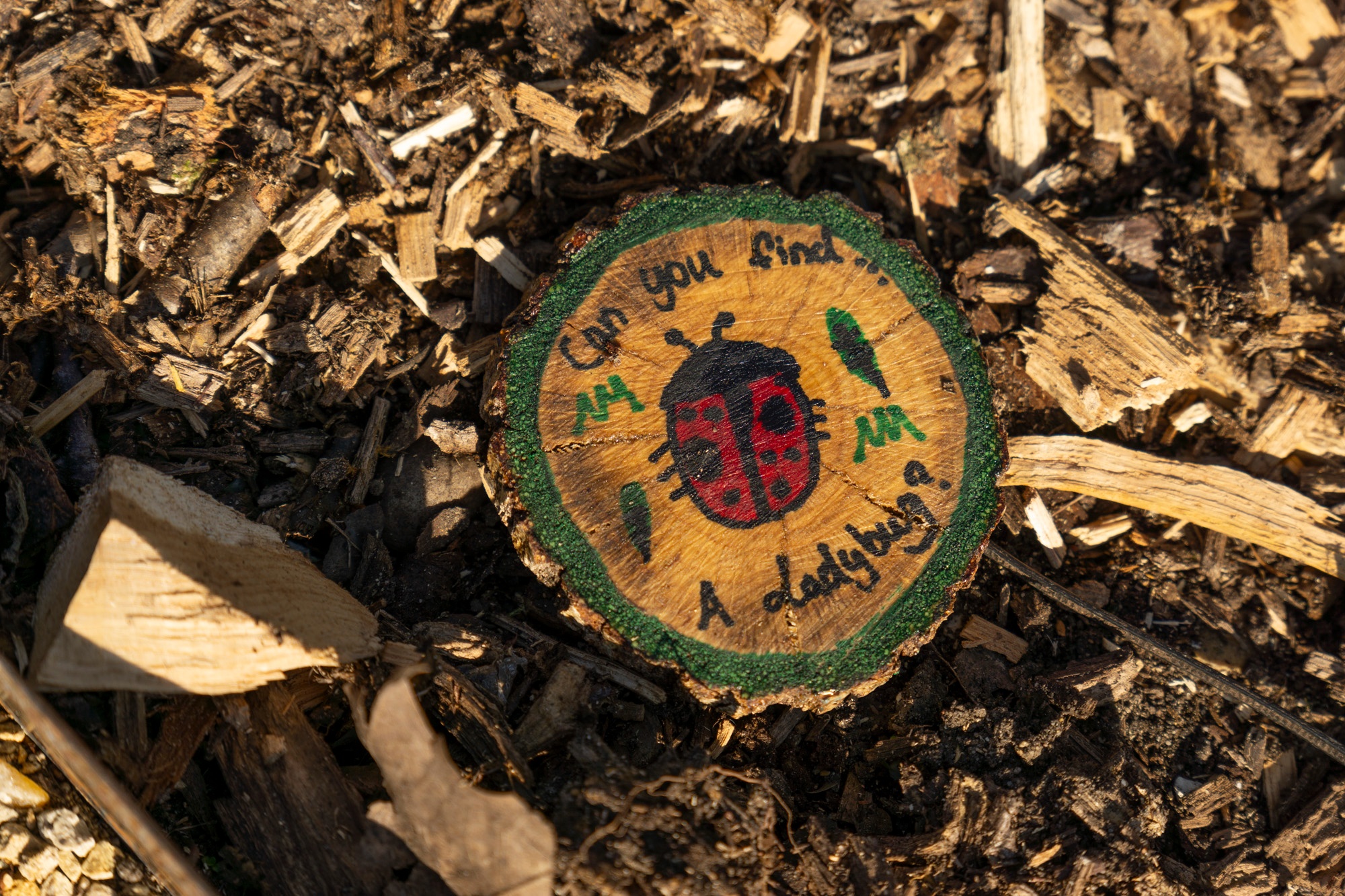 Wildlife spotting signs