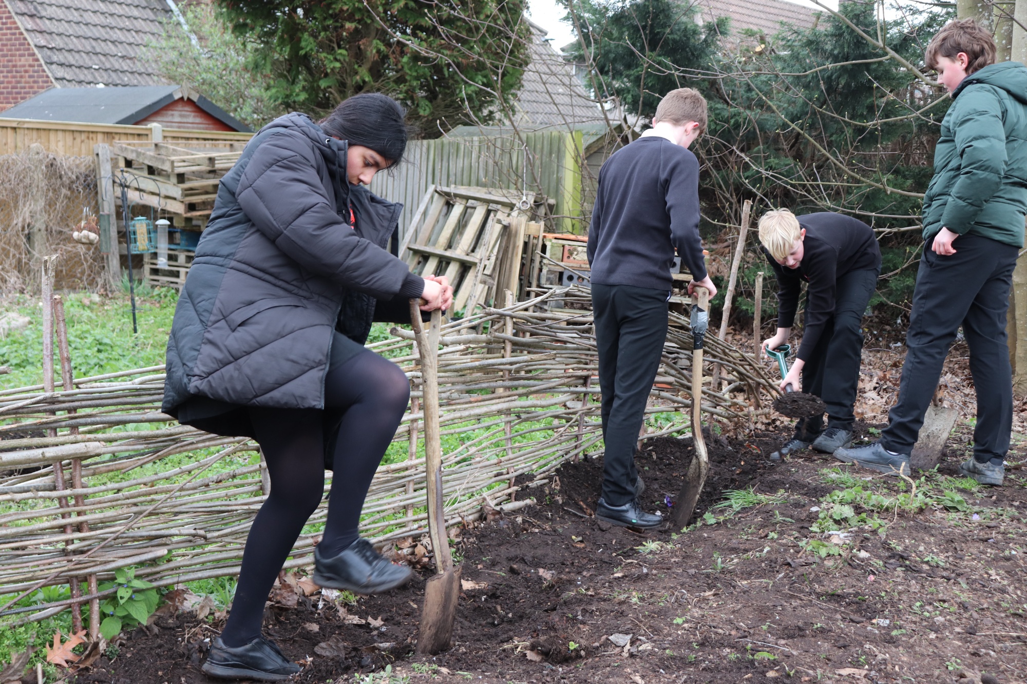 Year 8 work on the vegetable plot