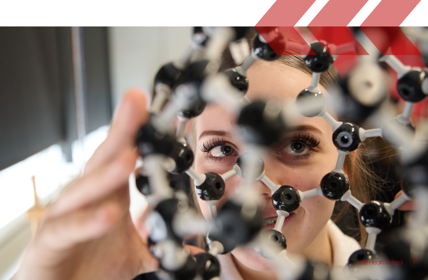 Biology A Level Biology A Level